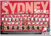 AFL 2025 Sydney swans AFL FOOTBALL TEAM POSTER,,BARGAIN,2