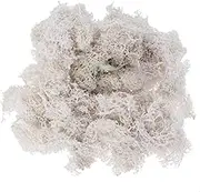 KALLORY DIY Floral Material Accessory Preserved Moss Moss Artificial Fern for Home Decor