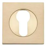 Escutcheon Euro Sq Concealed Fix Pair SB D52xP10mm