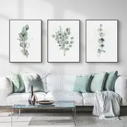 Eucalyptus Plant 3 sets Poster Wall Art