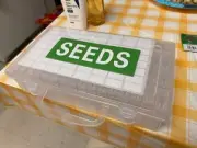 Seed Storage Box 64 Grids Plastic Seed Storage Organizer Garden Seed Container