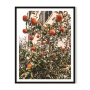 My Citrus Framed Printed Wall Art - Black