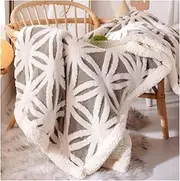 Blanket Blankets Bed Blanket Ultra Soft Sherpa Fleece Blanket Cozy and Warm Throw Blanket for Winter Fuzzy Warm Blankets for Winter Fall (Color : C, Size : 120 * 200cm)