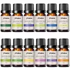 Stelive 12 Pack Essential Oils Set, Natural Aroma Essential Oils (10ml)
