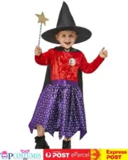 Girls Julia Donaldson Room On The Broom Costume Child Book Week Toddler