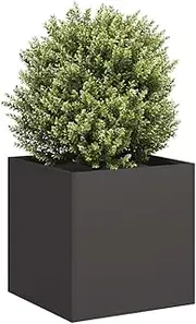 Raised Garden Bed, Elevated Planter Box Plant Container Black 40x40x40 cm Cold-Rolled Steel