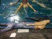 Hand carved mermaid by the Cape Cod woodcarver Wood from Outer Cape Beach