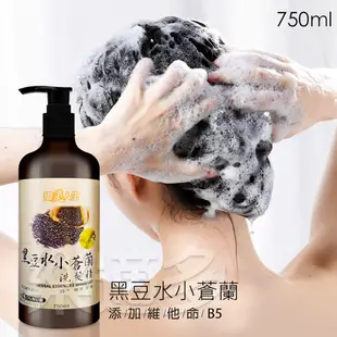 黑豆水胺基酸洗髮精 750ml/瓶 SIN6337 洗髮精 洗髮乳 洗髮 髮品