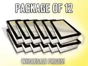 AIR FILTER AF5446 FOR 2000 2001 FORD 7.3L - CASE OF 12 - REPLACES FA1710 (for: Ford)