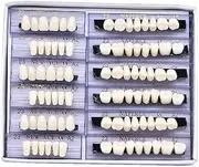 RZJZGZ 168 Pcs Dental Synthetic Resin Tooth Denture Temporary False Teeth 6 Sets False Teeth 23 A2