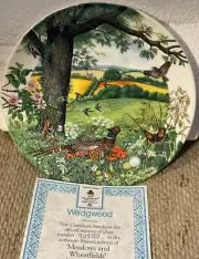 MEADOWS & WHEATFIELDS Colin Newman’s Country Panorama Wedgwood Collector’s Plate