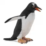 COLLECTA動物模型 - 巴布亞企鵝 < JOYBUS >