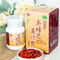 在飛比找樂天市場購物網優惠-【蘭亭生技】牛樟芝菌絲體膠囊(90粒/罐) |衛福部核准 健