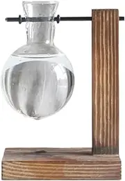 Clear Glass Planter Bulb Vase with Retro Wooden Stand, Desktop Hydroponics Plant HOM Terrarium for Propagation Water Plants,