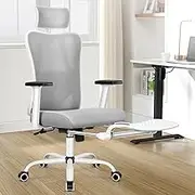 ALFORDSON Ergonomic Executive Office Chair with Adjustable Headrest & Footrest and 2D Lumbar Support, High Back Mesh Gaming Racing Chair for Home Computer Study Desk, 180kg Capacity, White Grey