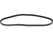 Multi Rib Belt For 1996-1998 Suzuki X90 1.6L 4 Cyl 1997 FF933FY (for: Suzuki)