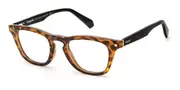Polaroid PLD D434 086 Women’s Glasses Tortoiseshell Size 48 - Private Health Rebate - Blue Light Block Available