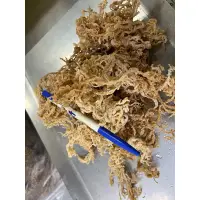 在飛比找蝦皮購物優惠-▲宜蘭名產《珊瑚草》海燕窩全乾無鹽一斤600克