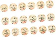 Hoement 18pcs Wooden Flower Milestone Month Milestone Signs Months Milestone Monthly Milestone Monthly Milestone Cards Milestone Signs Age Milestone Signs