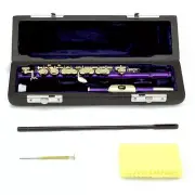 LIMITED TIME! SKY Purple Piccolo Flute with Case, Cleaning Cloth Cleaning Rod