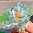 315GNewlyDiscoveredGreenAndYellowPhantomCrystalQuartzClusterMineralSampleHealing
