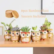 6pcs Ceramic Mini Owl Plant Pot Cute Animal Flower Succulent Planters Home Decor