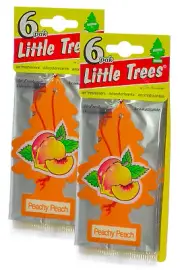 Little Trees Cardboard Hanging Car, Home & Office Air Freshener, Peachy peach-12