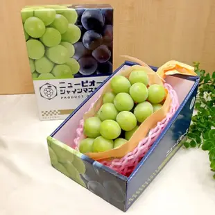 【WANG 蔬果】日本麝香無籽葡萄1房x4盒(450-500g/串_禮盒/空運直送)