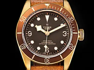 飛馬當舖 售 Tudor 帝舵 2018 Bronze 79250BM 青銅 銅錶 潛水錶 自動上鍊 9成5新 43mm