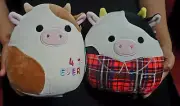 Squishmallows 7.5 in Ronnie 4 Ever & Connor Cow 2 Squishmallow Cows NWT