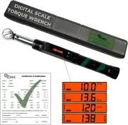 Precision 3/8 Drive Digital Torque Wrench 25-250 In-Lb, Click-Style Electronic T