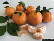 Buy Mandarin Emperor Grafted Fruit Trees (Citrus reticulata)