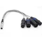 10 Pin To XLR 3 Pin Atomos Breakout Audio Cable for Shogun Monitor Recorder 12"