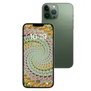 [Apple] iPhone 13 Pro Max 1TB