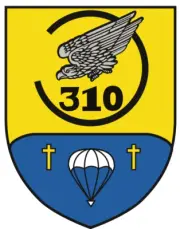 German 310 - Airborne reconnaissance Company Self-adhesive Vinyl Decal
