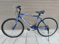 在飛比找Yahoo!奇摩拍賣優惠-美利達MERIDA腳踏車MT31