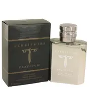 Territoire Platinum Edp Spray by Yzy Perfume for Men - 100 Ml