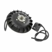 Ignition PINASCO Flytech Piaggio 200 for Vespa Pe VSX1 1983-2005