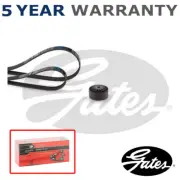Alternator Drive Belt Kit Gates Fits Renault Clio 1998- 1.0 1.1 1.2