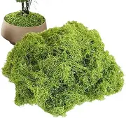 Artificial Fake Moss | 100g Decorative Moss,Breathable Artificial Moss for Crafting Moss Paintings Moss Walls