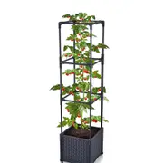 3 Tiers Raised Garden Bed Planter Boxes with Trellis for Climbing Vegetables Plants