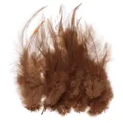 200 Pcs 3-5" Rooster Feathers Bulk Natural Feather for Crafts Dark Brown
