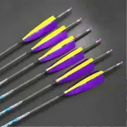 6/12pcs Archery Pure Carbon Arrow ID6.2mm Spine 250/800 Shaft 32inch for Bow