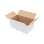 50x Mailing Box 240 x 140 x 140mm Regular Shipping Carton for 3KG Satchel Bag