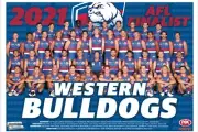 Western bulldogs TEAM Photo,AFL football,swans,PIEs ,blues ,crows,books,dockers2