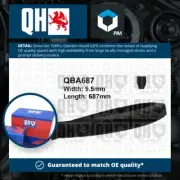 Drive Belt fits FIAT PALIO 178 1.4 96 to 02 V Belt QH 7623829 7553716 7723828