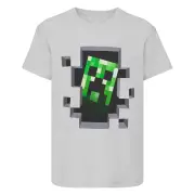 Minecraft Childrens/Kids Creeper T-Shirt (Grey) - NS6016