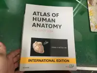 在飛比找露天拍賣優惠-Atlas of Human Anatomy 7E 人體解剖