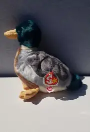TY Beanie Buddies Jake The Mallard Duck Plush Stuffed Animal Green Grey