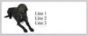 Personalized Address labels Black Labrador (p 890)
